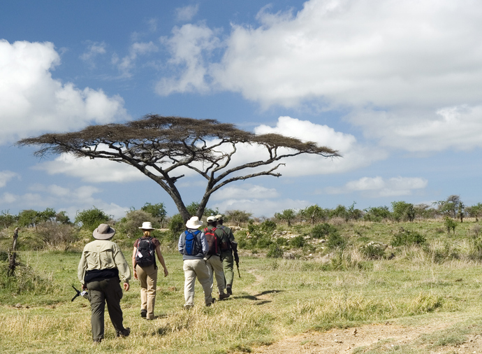 People on a walking safari