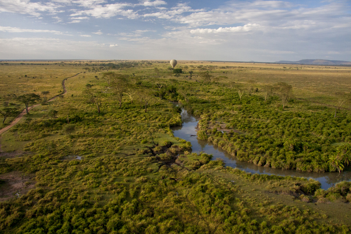Endless plains of the Serengeti