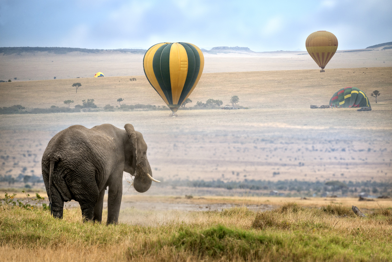 Balloon safari over the African plains