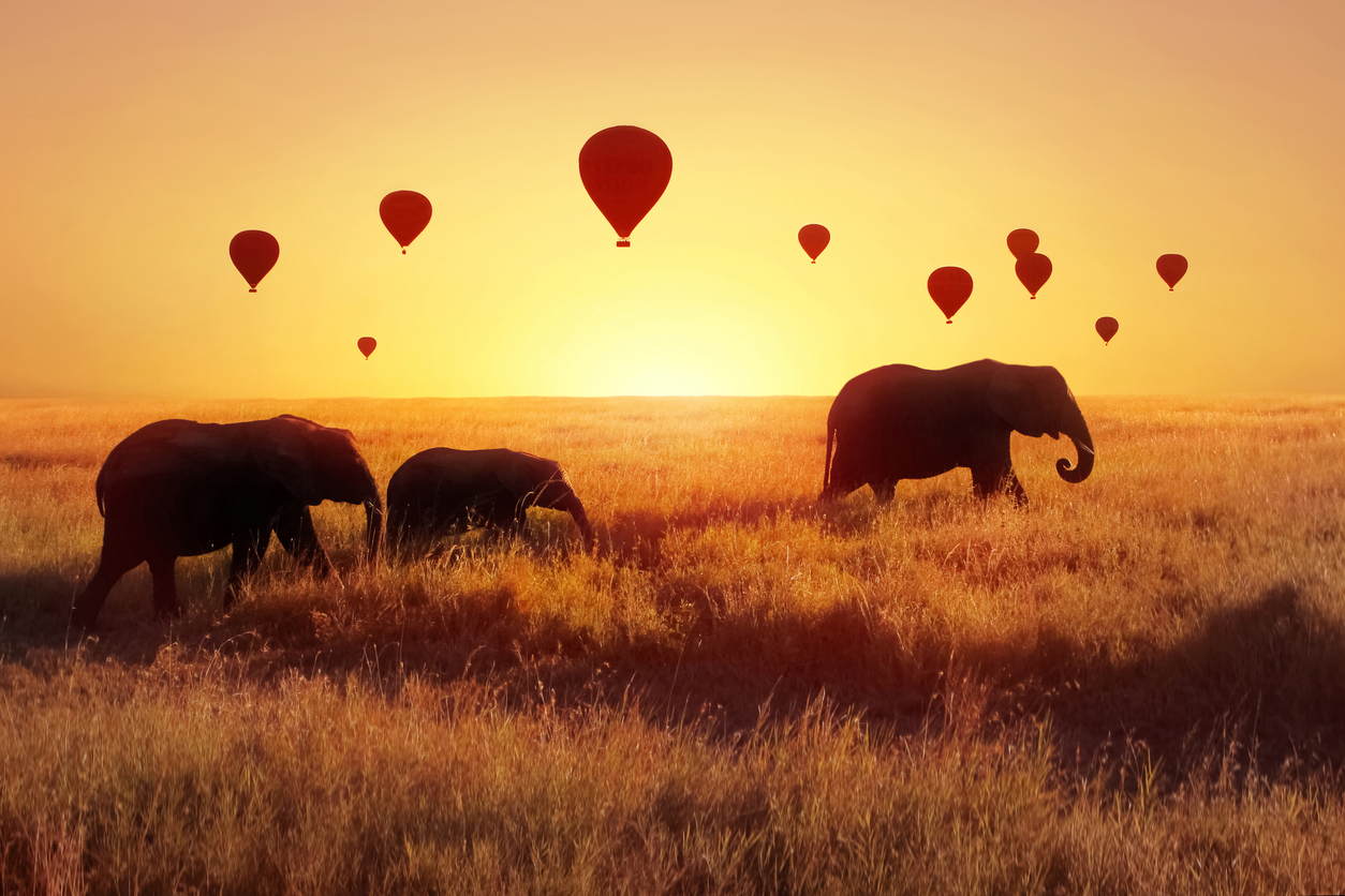 Elephants and balloons in Serengeti