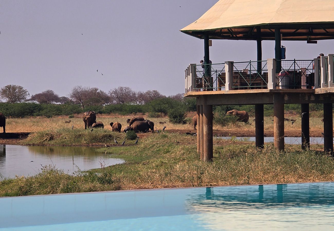 Voi Wildlife Lodge