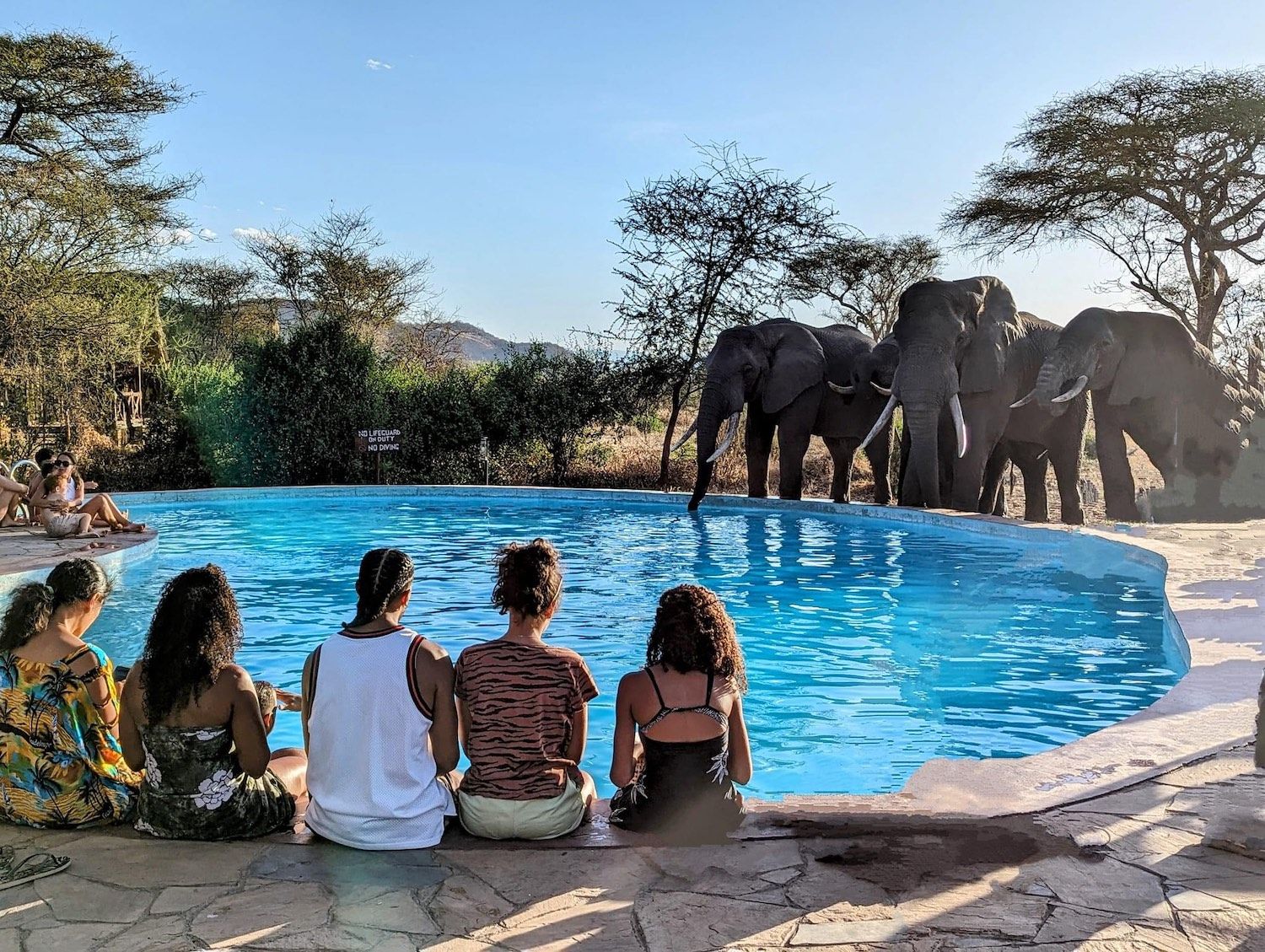 Tarangire Simba Lodge