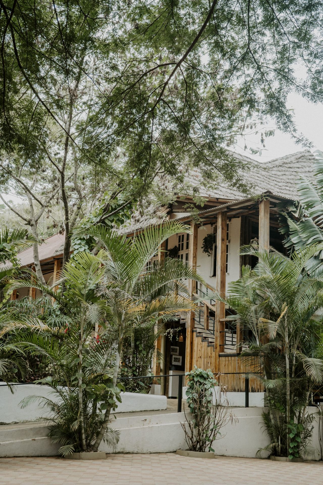 Eileen's Trees Inn