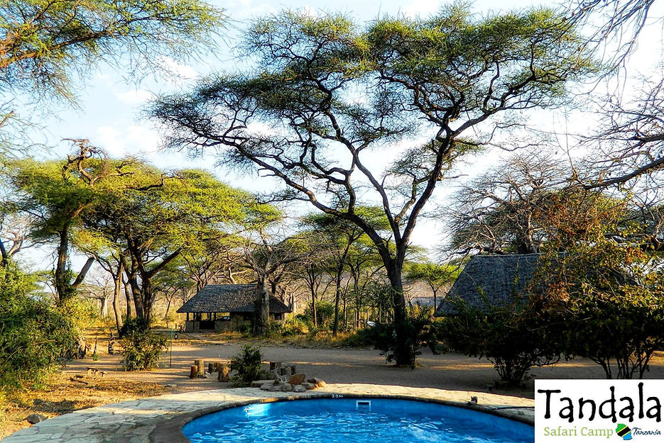 Tandala Tented Camp - photo 1