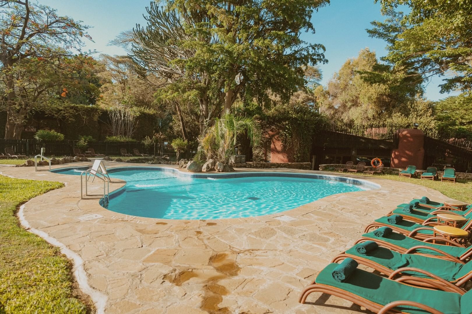 Amboseli Serena
