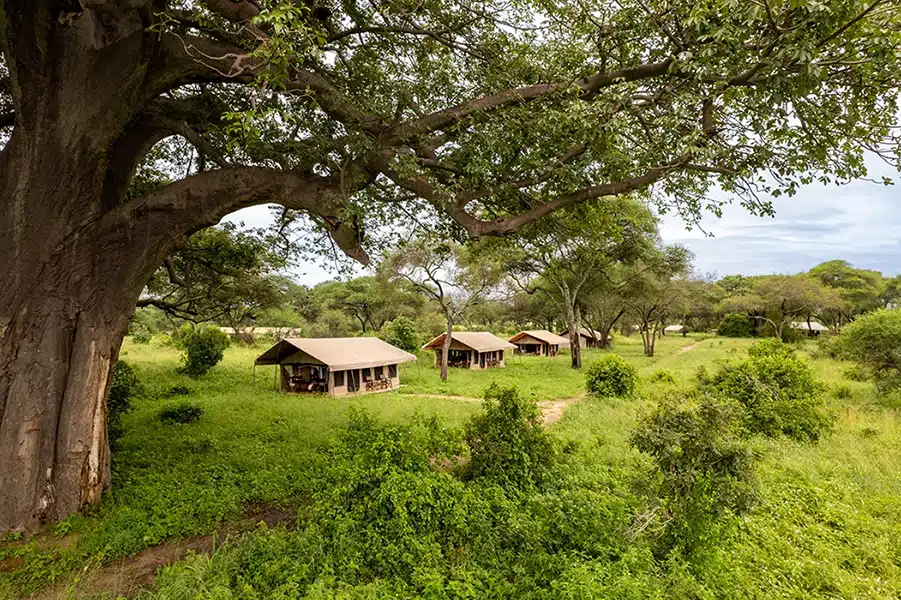 Baobab Tented Camp