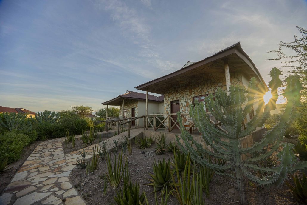 Lake Eyasi Safari Lodge