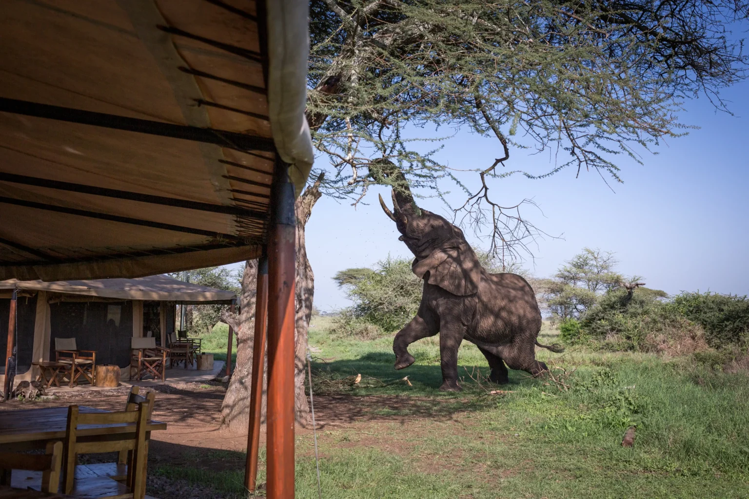 Mawe Tented Camp