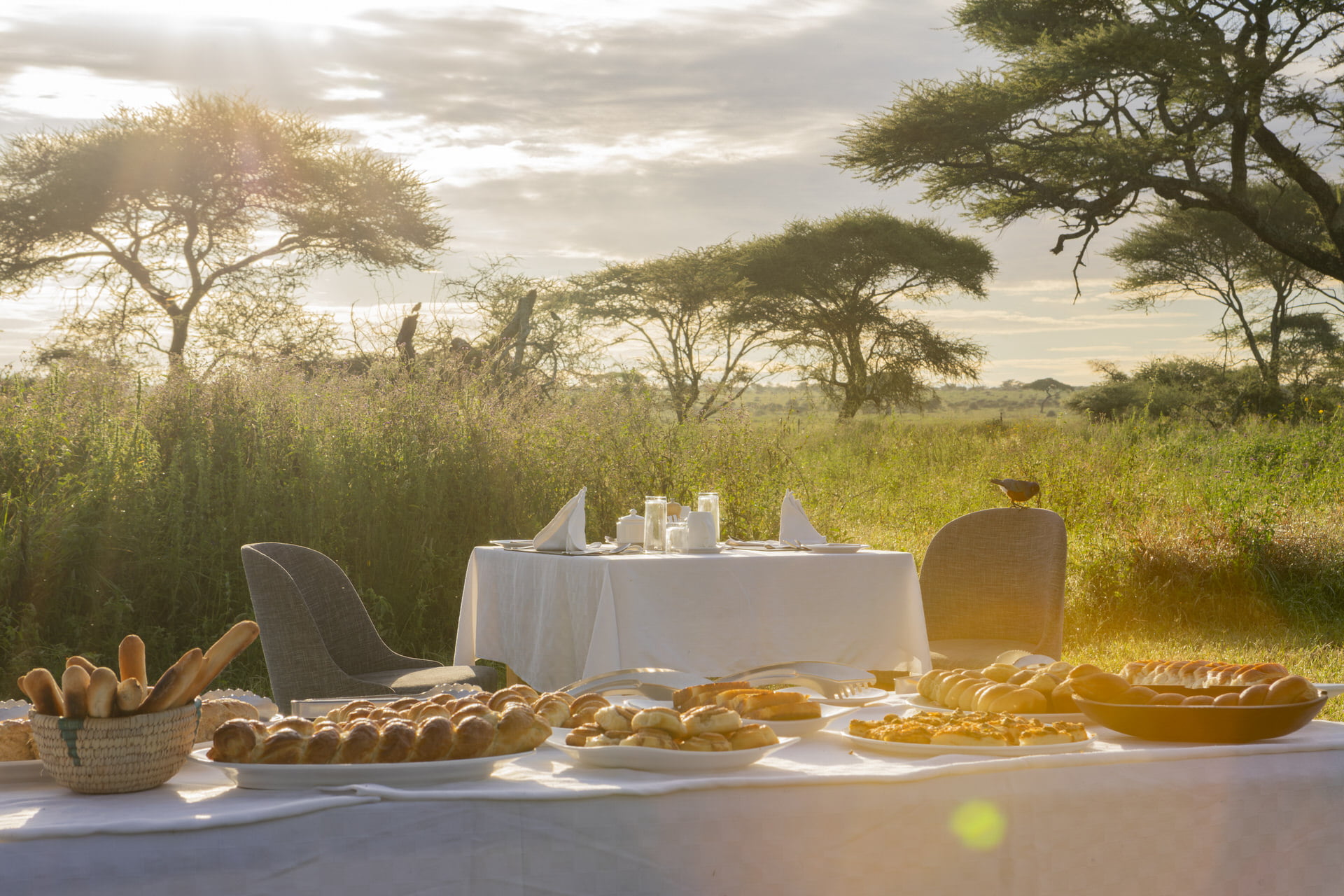 Serengeti Sametu Camp